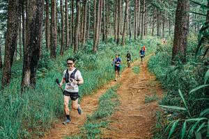 BIB: 
                            <button type="button" onclick="openModal(25713861)" class="btn btn-primary btn-sm float-right btn-popup" data-toggle="modal" data-target=".modal-high-quality">
                        <i class="fas fa-shopping-cart"></i> Add to Cart
                    </button>
                                            <button type="button" onclick="isThisMe(25713861, true)" class="btn btn-success btn-sm float-right btn-popup btn-isme hidden" data-toggle="tooltip" data-placement="bottom" title="นี่คือรูปของคุณใช่ไหม คลิกที่นี่เพื่อเอาเข้าอัลบั้ม">
                        <i class="fas fa-plus"></i> Add to album
                    </button>
                    <button type="button" onclick="isThisMe(25713861, false)" class="btn btn-warning btn-sm float-right btn-popup btn-isnotme hidden">
                        <i class="fas fa-ban"></i> Remove from album
                    </button>